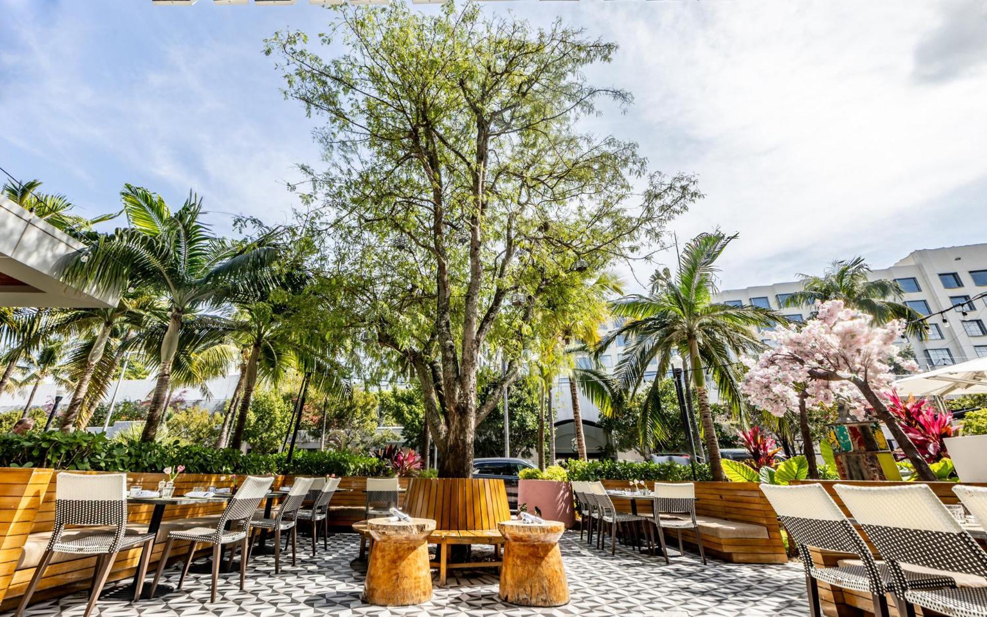 Kimpton Angler'S Hotel South Beach By Ihg Miami Beach Dış mekan fotoğraf